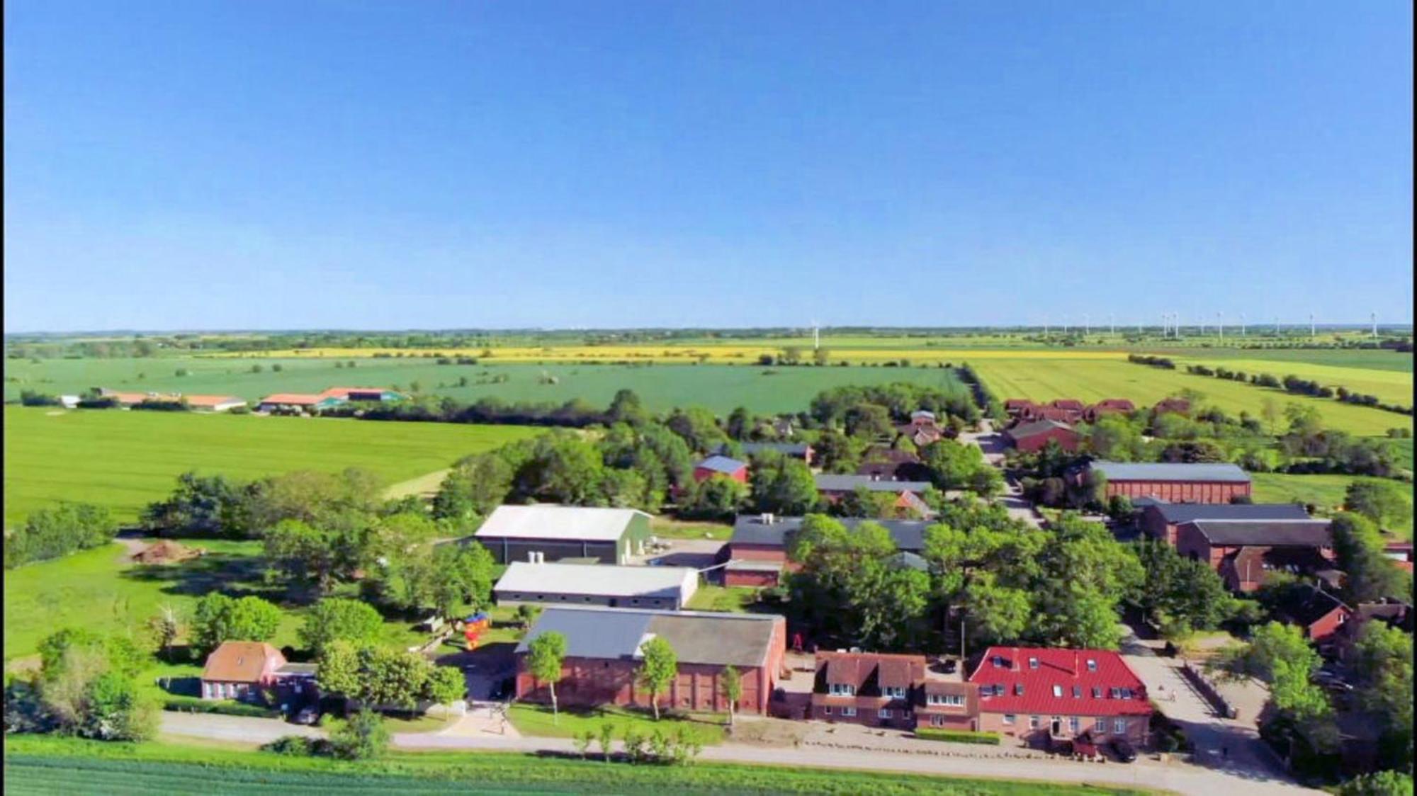 Gaensebluemchen Ferienhaus Fehmarn
